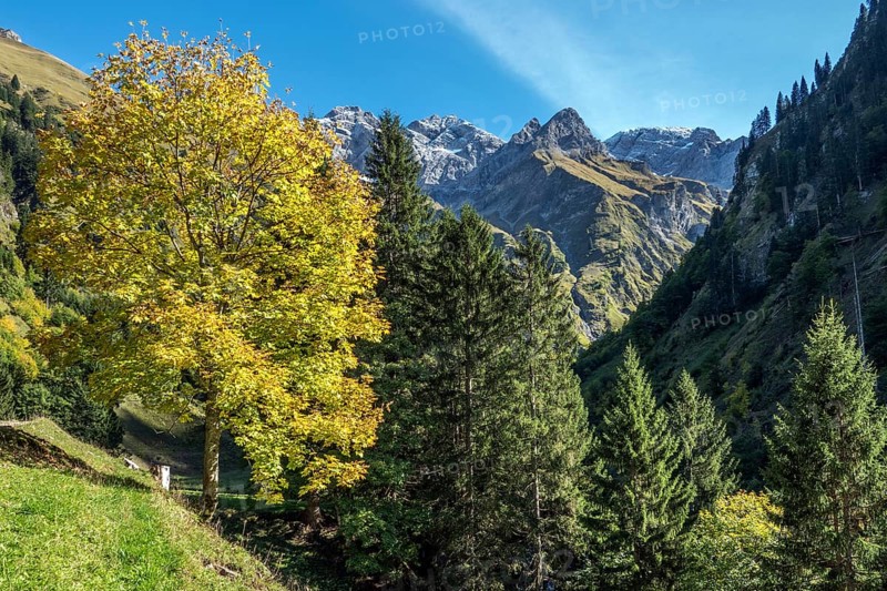 Bacherloch Valley, behind mountains of the Allgäu Alps, autumn atmosphere, autumn-colored trees, near Einödsbach, Oberstdorf, Oberallgäu, Allgäu, Bavaria Germany