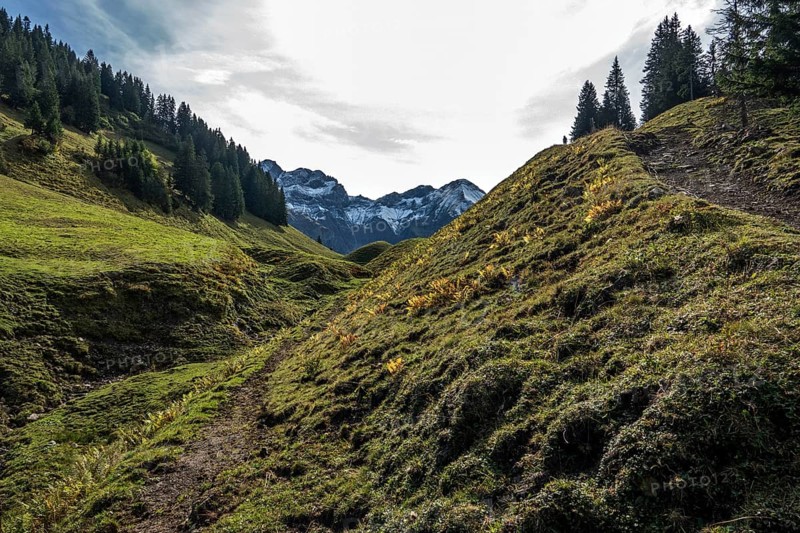 Hiking trail on Einödsberg, Einödsbach, behind mountains of the Allgäu Alps, Oberstdorf, Oberallgäu, Allgäu, Bavaria Germany
