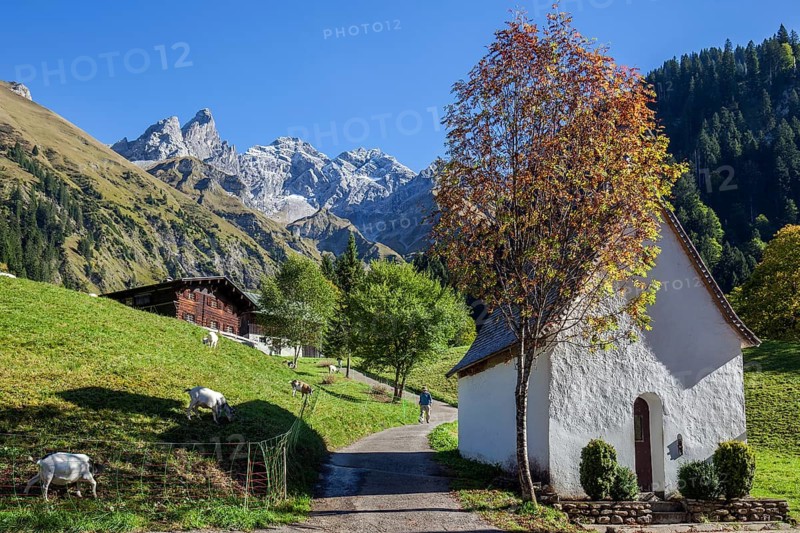 St. Katarina chapel, Einödsbach, Trettachspitze in the back, Mädelegabel and high-frottspizte, autumn atmosphere, goats in the pasture, Oberstdorf, Oberallgäu, Allgäu, Bavaria Germany