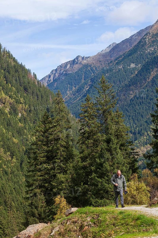 Forest and mountains on the Wild Water Trail with hiker and hiking trail in autumn, WildeWasserweg, Stubai Valley, Tyrol, Austria