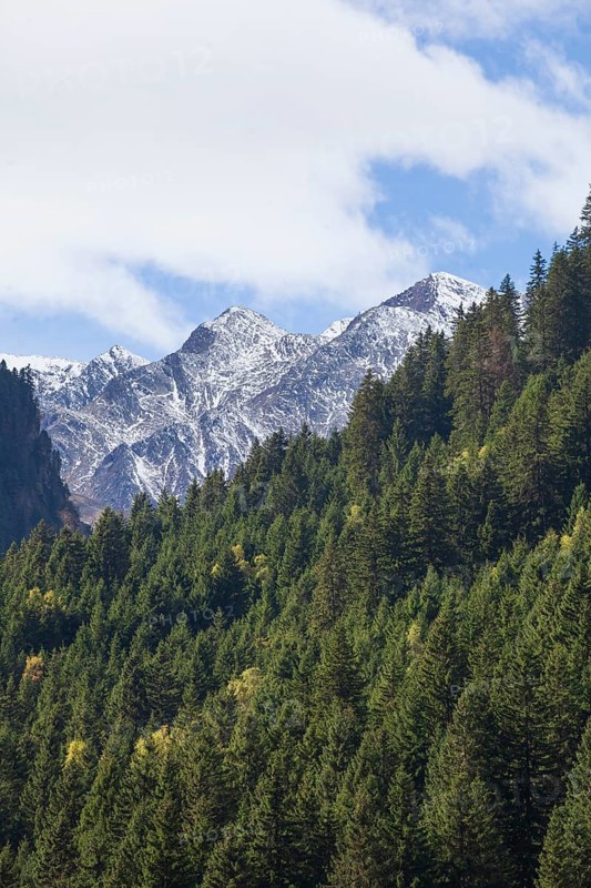 Forest and mountains on the Wilde Wasser Weg in autumn, WildeWasserweg, Stubai Valley, Tyrol, Austria