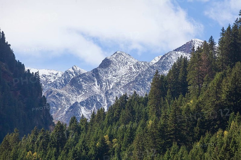 Forest and mountains on the Wilde Wasser Weg in autumn, WildeWasserweg, Stubai Valley, Tyrol, Austria