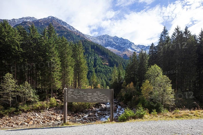 River Ruetz am Wilde Wasser Weg with sign, forest and mountains in autumn, WildeWasserweg, Stubai Valley, Tyrol, Austria