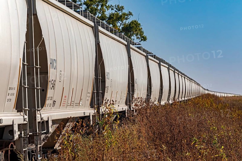 Luverne, Minnesota - Dozens of Halliburton covered hopper rail cars, used for carrying grain, are parked on railroad tracks in southwestern Minnesota