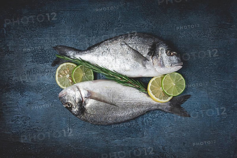 Fresh, raw dorado fish, on a dark blue background, top view, two pieces, no people