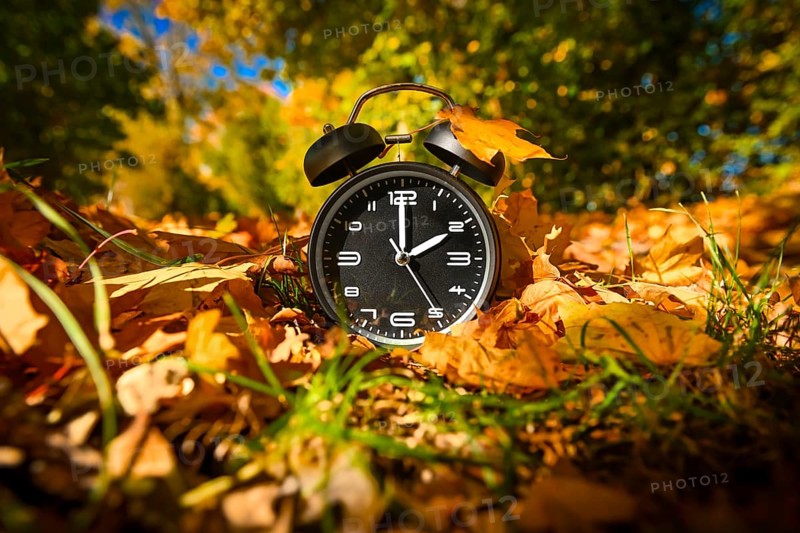 Alarm clock between autumn leaves, symbolic photo of time change and winter time