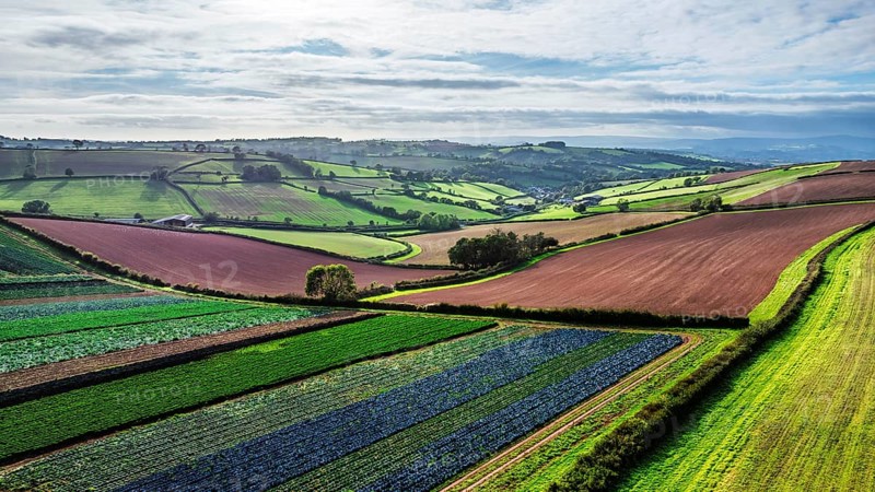 Fields and Farms at evening sun from a drone, Shaldon, Torquay, Devon, England, United Kingdom