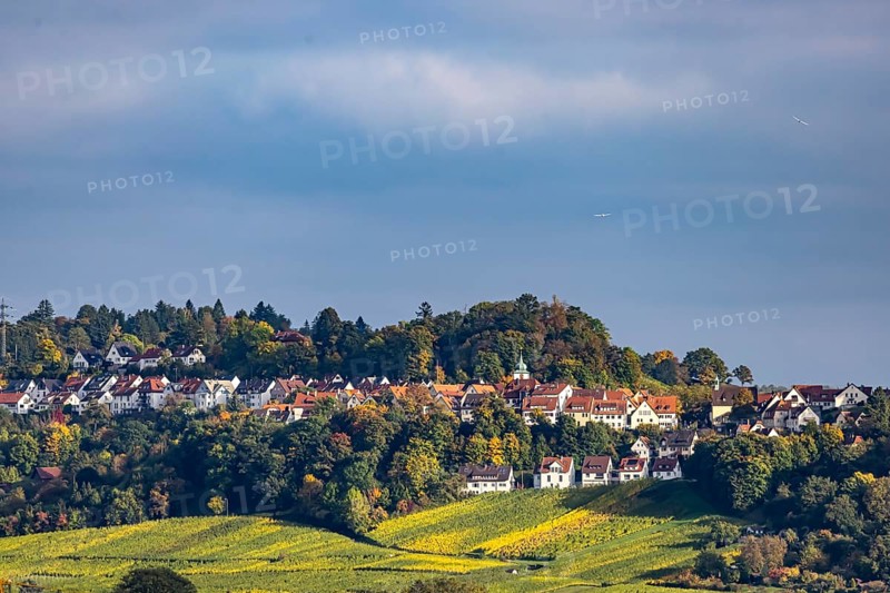 Landscape and vineyards near Stuttgart-Rotenberg. Stuttgart, Baden-Württemberg, Germany
