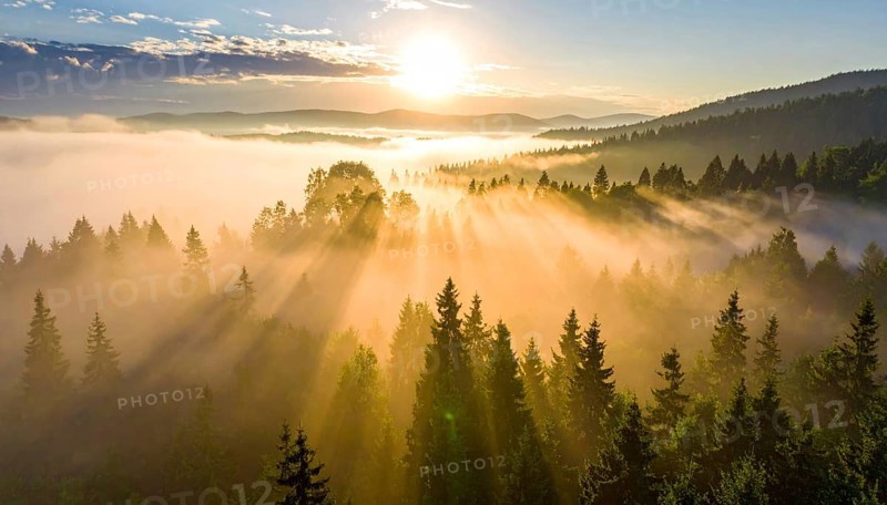 Expansive sun rays break through fog over a mountainous forest landscape, Fog covered forest in summer with mystic golden sunlight, aerial view of spring morning landscape, backlight sunshine with sunbeams, AI generated