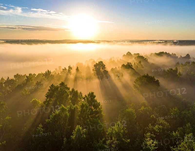 Sunlight pierces through fog over a forest, casting a peaceful morning glow, Fog covered forest in summer with mystic golden sunlight, aerial view of spring morning landscape, backlight sunshine with sunbeams, AI generated