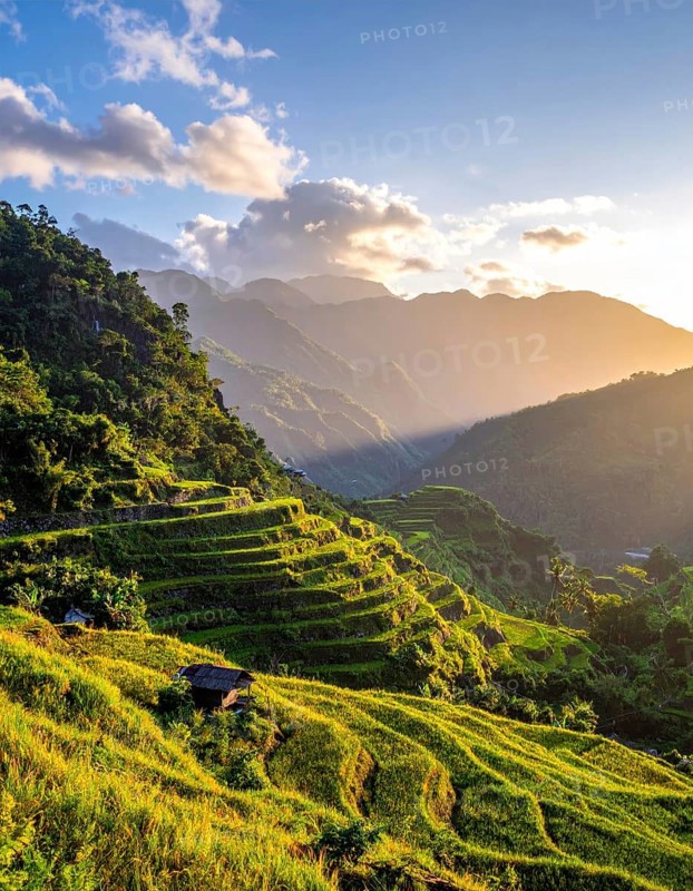 Early morning light bathes Philippines rice terraces cascading down mountain slopes, beautiful golden light, AI generated