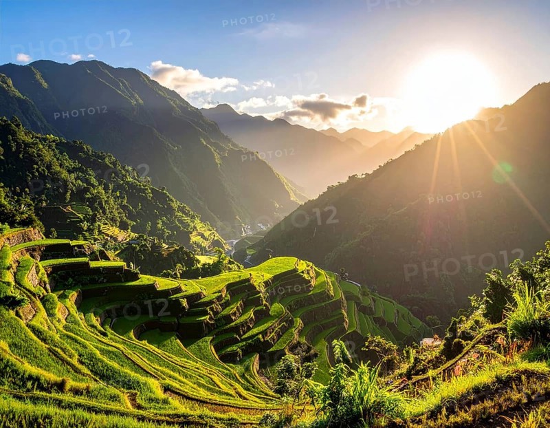 Early morning light bathes Philippines rice terraces cascading down mountain slopes, beautiful golden light, AI generated