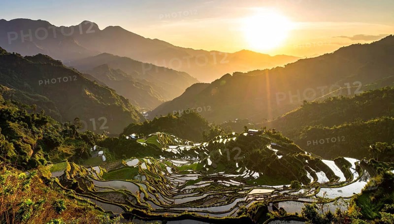 Early morning light bathes Philippines rice terraces cascading down mountain slopes, beautiful golden light, AI generated