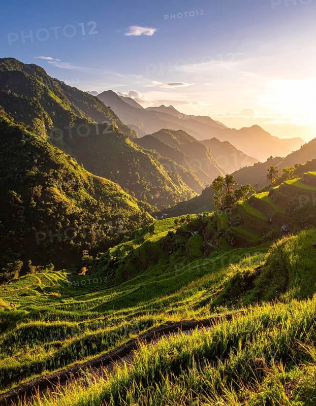 Early morning light bathes Philippines rice terraces cascading down mountain slopes, beautiful golden light, AI generated