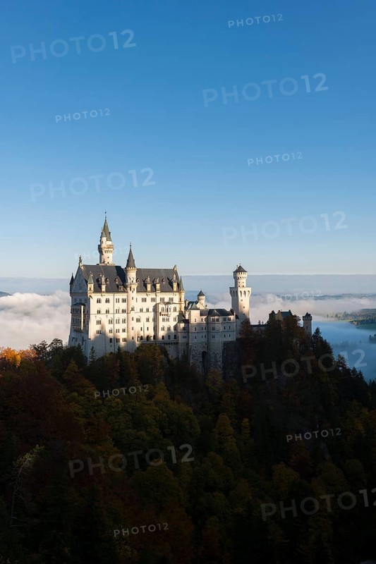 Neuschwanstein Castle towers over a sea of clouds and forests in the autumn sun, Schwangau near Füssen, Ostallgäu, Allgäu, Bavaria, Germany