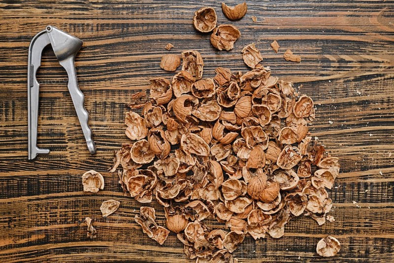Brown nut shells are spread out on a textured wooden surface, alongside a silver nutcracker. It looks like a fun snack time has just taken place, with remnants left behind