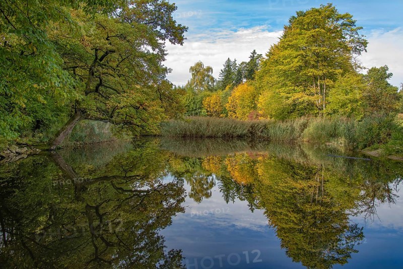 Pond on the edge of a colorful autumn forest, Bavaria, Germany