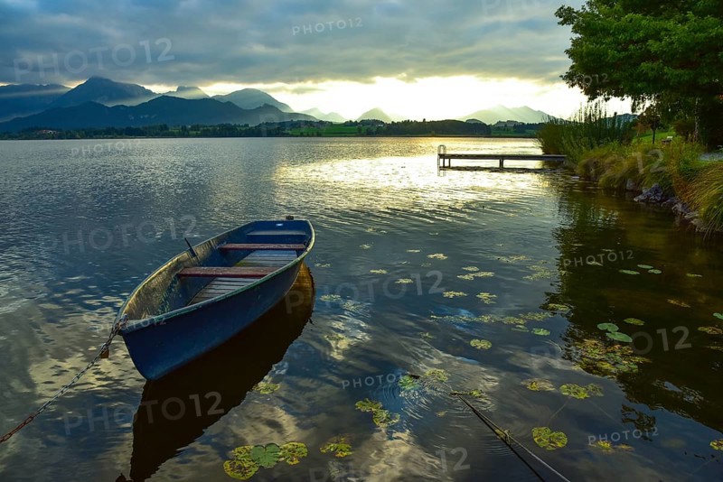 Rowing boat on Hopfensee in Allgäu at sunset in Hopfen am See, Bavaria, Germany