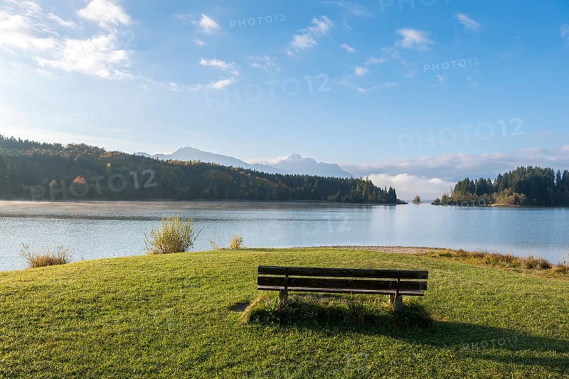 Wooden bench on grassy lakeside, with wooded hills and mountains in sunny skies, Forggensee, Allgäu, Swabia, Bavaria, Germany
