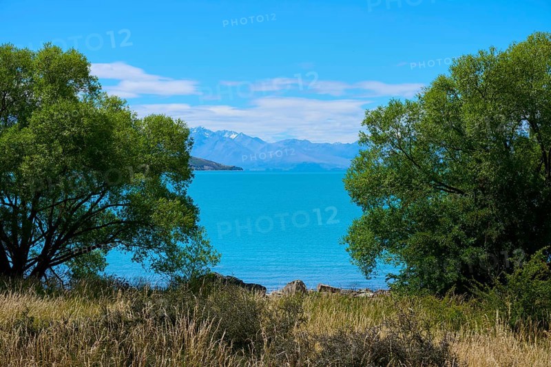 A lake surrounded by trees in the foreground, with a spectacular mountain backdrop and clear blue sky, Lake Tekapo, Canterbury, South Island, New Zealand