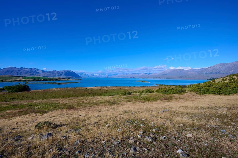 Large expanse of water surrounded by mountains and a grassy shoreline under a clear sky, Lake Tekapo, Canterbury, South Island, New Zealand