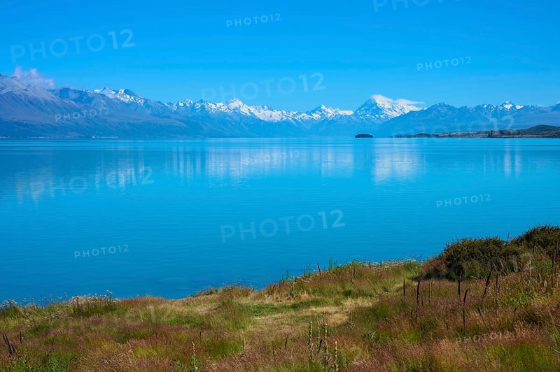 Landscape looking across meadow to a tranquil lake and snow-capped mountains, Lake Pukaki Viewpoint, Pukaki, Canterbury, South Island, New Zealand