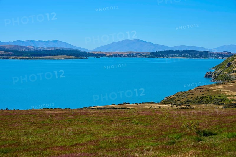 A calm lake with views of mountains and a grassy shoreline under clear blue skies, Lake Tekapo, Tekapo, Canterbury, South Island, New Zealand
