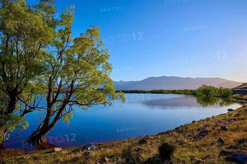 A calm lake with trees and mountains in sunlight, Lake McGregor, Tekapo, Canterbury, South Island, New Zealand