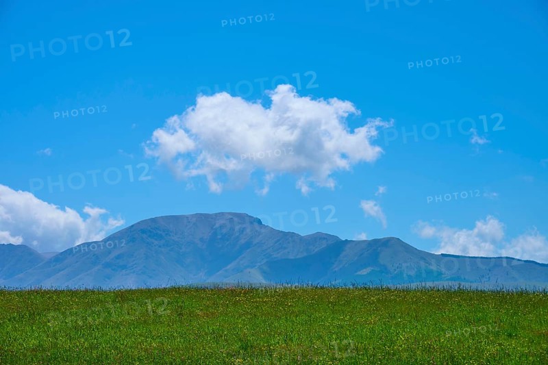 Green field with distant mountains and a cloud in the blue sky, Geraldine Fairlie Lookout, Geraldine, Canterbury, South Island, New Zealand