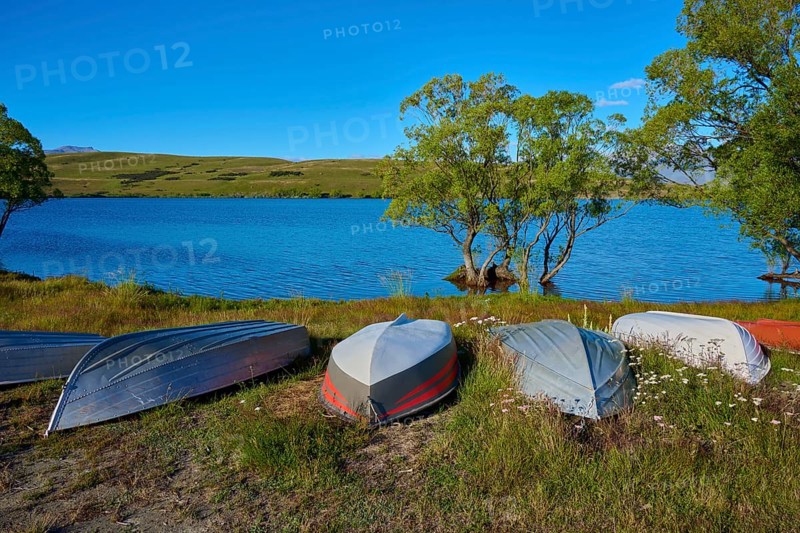Overturned boats on lake shore with clear sky and green trees in the background, Lake McGregor, Tekapo, Canterbury, South Island, New Zealand