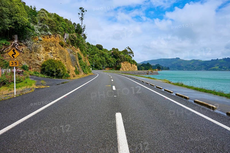 Asphalt road along a coast with green vegetation and rocks, Broad Bay, Dunedin, Otago, South Island, New Zealand