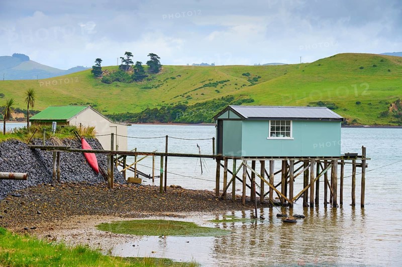 Landscape with a hut on a jetty next to a green hill, Broad Bay, Dunedin, Otago, South Island, New Zealand