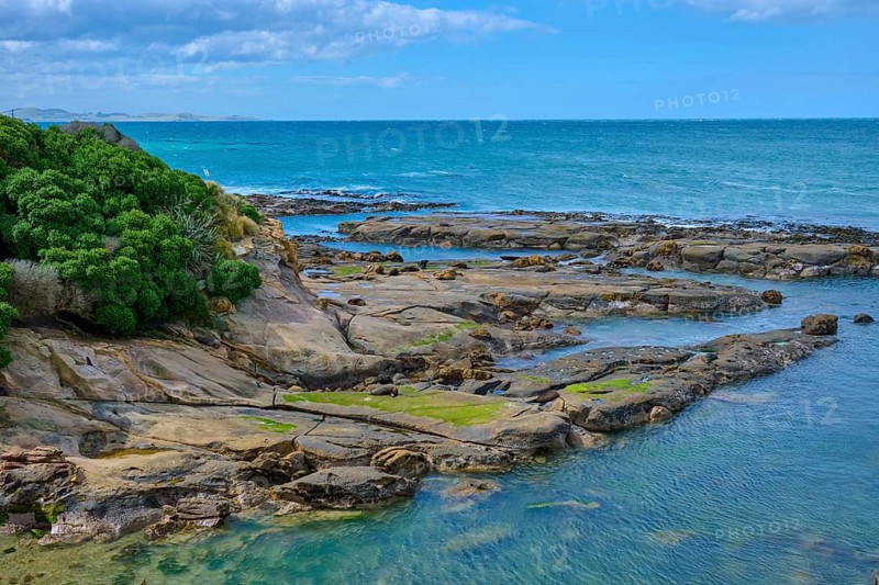 Rocky coastline on the blue sea with cloudy sky and calm water, Shag Point Lookout, Shag Point, Palmerston, Otago, South Island, New Zealand
