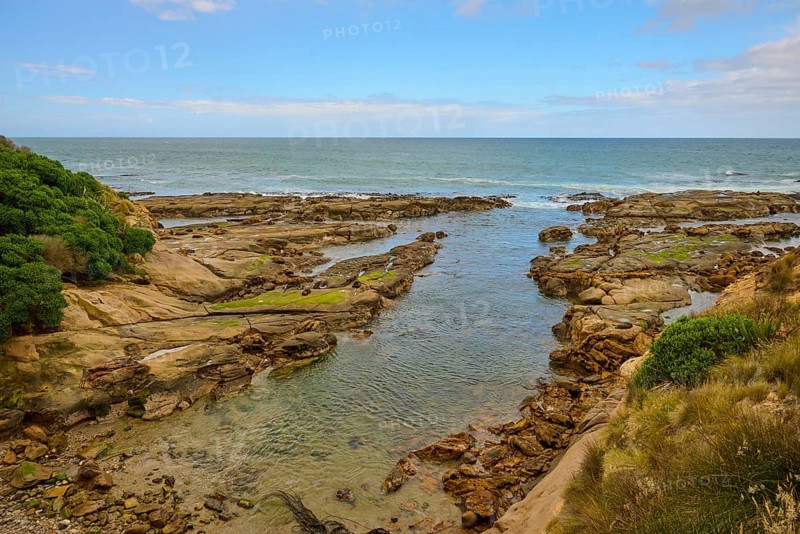 Rocky coast with calm sea and blue sky with clouds, Shag Point Lookout, Shag Point, Palmerston, Otago, South Island, New Zealand