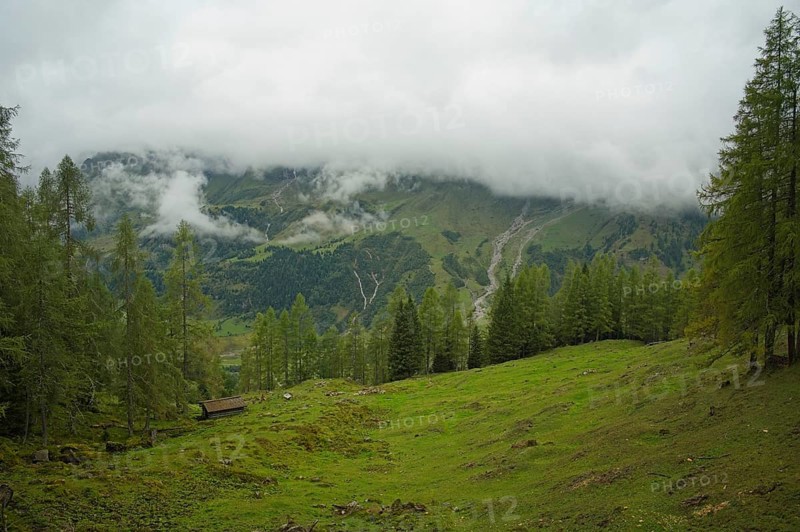 Foggy landscape on the Grossglockner High Alpine Road, Piffkar, Salzburg state, Austria