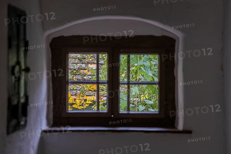 View through an old window with wooden frame, colorful autumn plants outside, Weinviertel Lower Austria