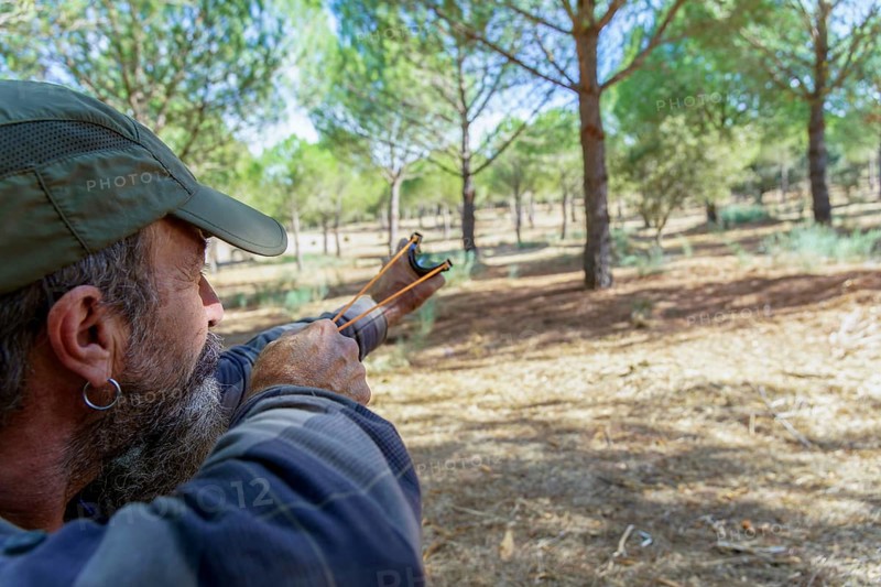Bearded man in cap aims a slingshot in a sunlit pine forest, focused on target during outdoor bushcraft and hunting practice