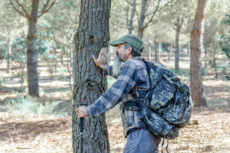 Man in plaid shirt and trekking backpack touching the bark of a pine tree in a forest, finding connection with nature