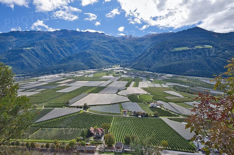 In the Vinschgau Valley in Italy, fruit and wine are grown and there is a lot of agriculture