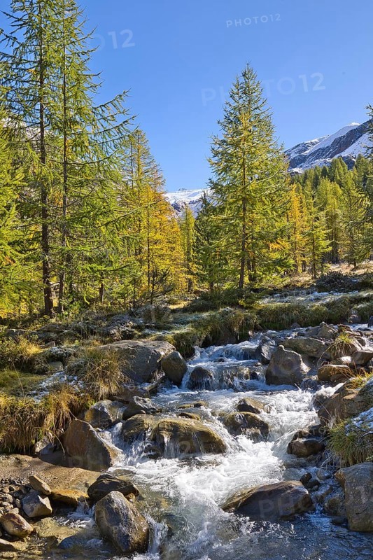 The water flows from the glaciers down into the Langtauferer Valley in the Vinschgau Valley, Italy