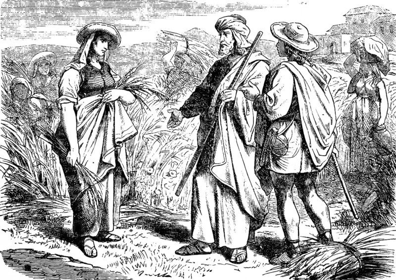 Ruth talks to Boaz and helps with the grain harvest, field, book of Ruth, chapter 2, harvest assistant, grain sheaves, Boaz's son, Old Testament, Bible, historical illustration 1877