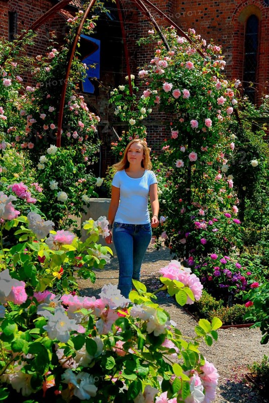 Blonde young beautiful woman walking among roses in the Rosary at the monastery in Ystad, Skåne County, Sweden, Scandinavia