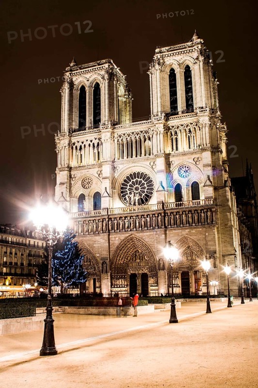 Notre Dame Cathedral (Cathédrale Notre Dame). Paris, France. 26.01.2009