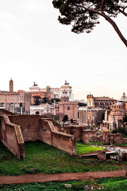 Roman Forum (Foro Romano) viewed from Via di San Bonaventura. Rome, Province of Rome, Italy. 23.12.2012