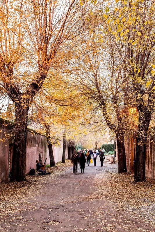 Via di San Bonaventura at the Palatine Hill. Rome, Province of Rome, Italy. 23.12.2012