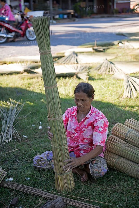 Thailand, Patthalung, Tale noi, Sorting, Separation and Tying up of the dried grey rushes or sedges (Lepirona articulata)