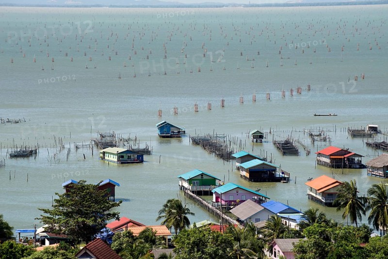 Thailand, Songkhla, Koh Yo, Aquacultural farm, Freshwater fish farming and field bow of nets