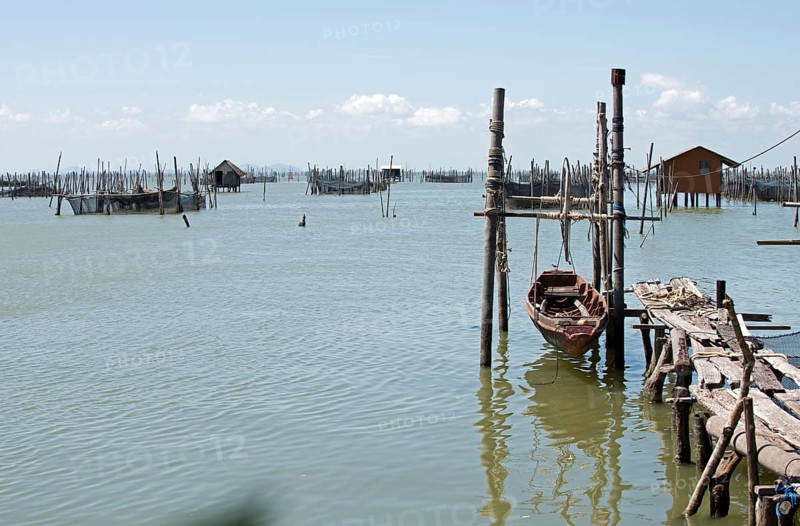 Thailand, Songkhla, Koh Yo, Aquacultural farm, Freshwater fish farming, Long-tailed boat out of water