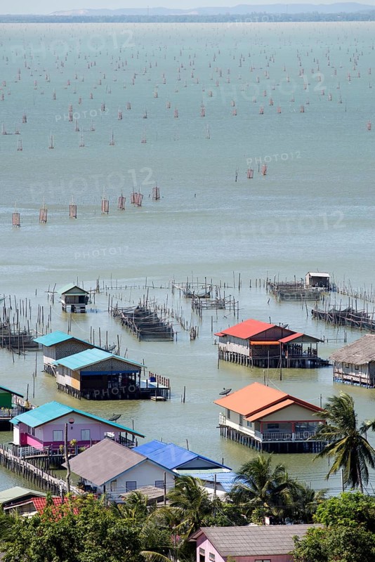 Thailand, Songkhla, Koh Yo, Aquacultural farm, Freshwater fish farming and field of bow nets