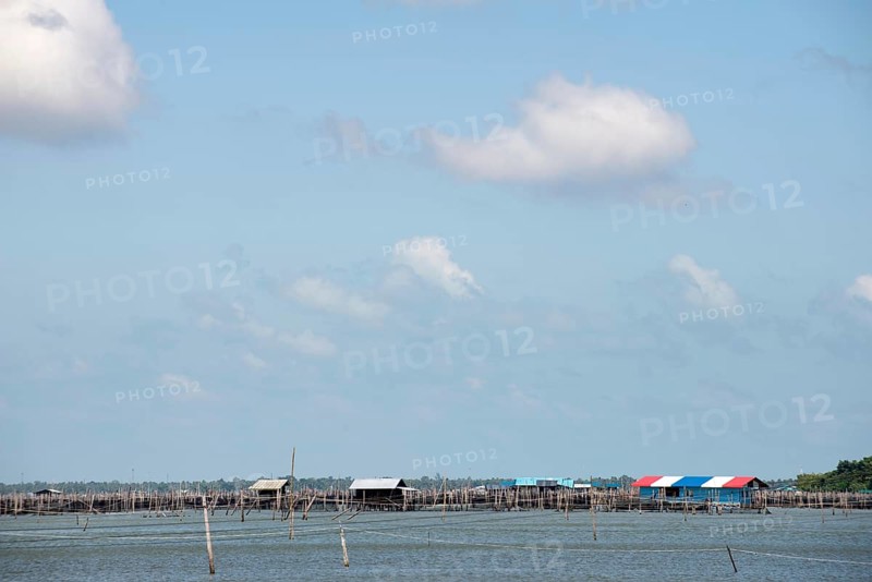 Thailand, Songkhla, Koh Yo, Aquacultural farm, Freshwater fish farming